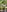 IconaDidiFit Tease in Nature照片 8