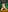 AlexandraJones_ SAN VALENTIN 2024 - NSFW Pic 5