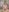 chloe_rose69 Let's go to my bedroom Pic