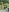 Tefy-Rose 𝐀 𝐋𝐈𝐓𝐓𝐋𝐄 𝐁𝐈𝐓 𝐎𝐅 𝐌𝐘 𝐓𝐑𝐈𝐏 Pic 8
