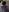 Emilly_HartのSanta Claus's Preyの枚の写真