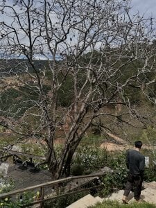 gold221298 Public Billede 2