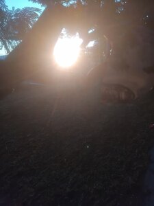 Kamdollie Public Pic 7