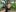 Bella_nasty69 Bella36 trip chiang mai Photo 2