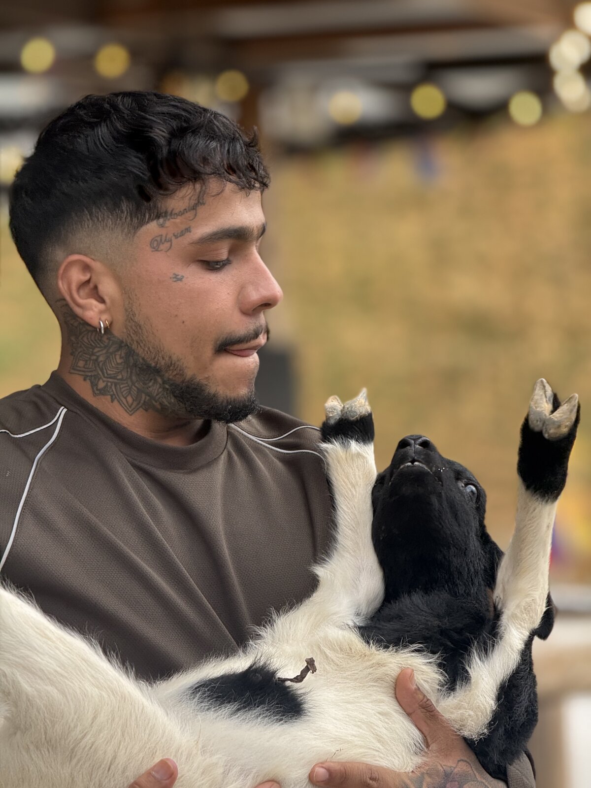 DeimonOficial Právě oblíbené foto 8769