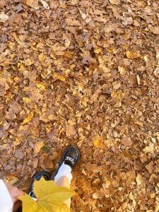 日本の美しい景色 de Dona020  8 Imagens