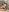 FeliciaTucker teaser girl part 2 Pic 3