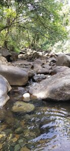 Nidhinchirackal Public Pic 2