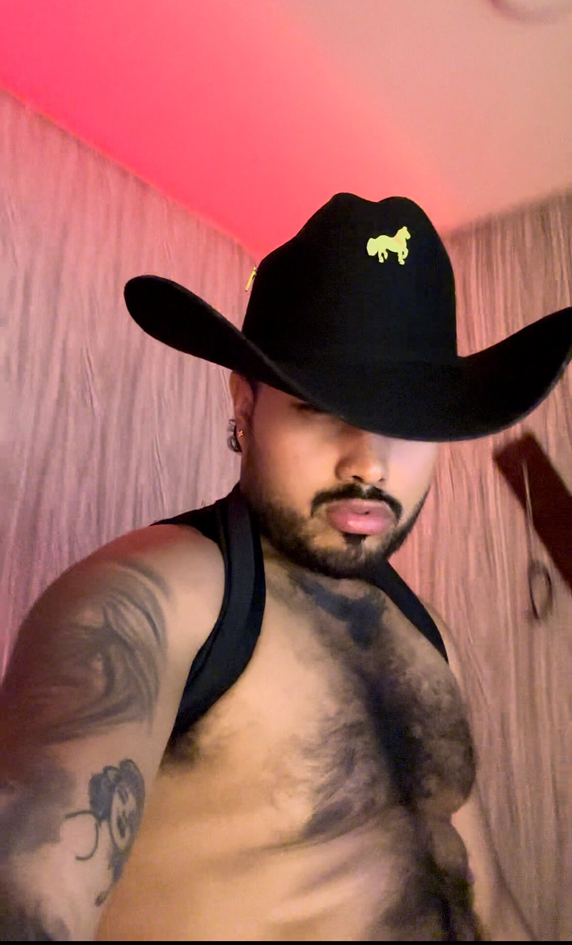 PapiStan Populært foto 4409