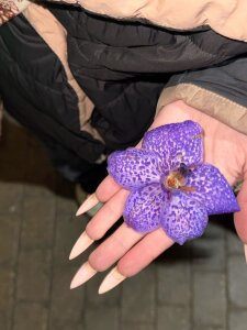 AmeliaFlares 🩷🎀 Immagine 