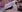 Lion_______ 25. Pic 6