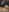 Kurt_Stone1 Massive giant dominating tiny man Pic 4