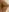 horny_baaby My push in public Foto  2