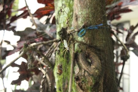 lunabustygirl I love nature Poză 2