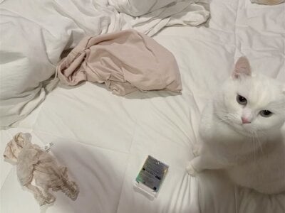 Luna-ass Public صورة واحدة|Luna-ass Public صورتان|Luna-ass Public  صور|Luna-ass Public  صورة