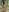 NataLive 🥵I'm f*ckin HORNY🥵 Pic 7