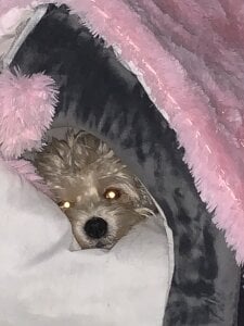 Public de Anniewine_  5 Imagens