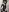 miatemptress69 Mix. Vol. 2 Fanclub (Hasi) Pic 6
