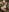 GingerSnap33 Live Stream Photo Requests Pic 5
