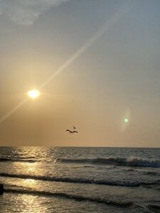 Nick_Jackson_ 🌊 Pic