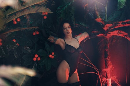 MadilynFox The garden of desire зображення