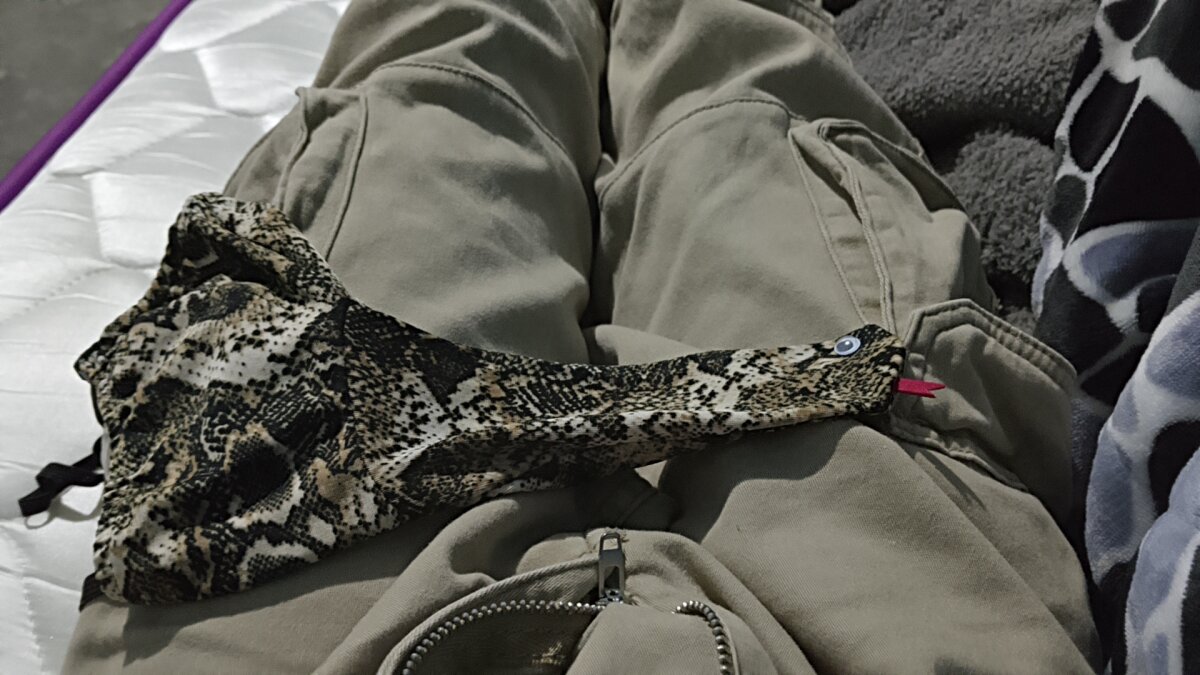 Haplis 熱門圖片 9211