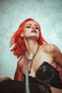 DivonixVenera Public Hình 3