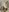 DollyPixel For my fans Pic 6