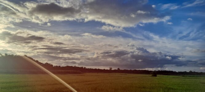 mdshovohossen kullanıcısının New albümü -  fotoğraf