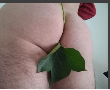 Olifesse Public Pic 4