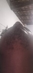 Viana_07 Public Billede 3