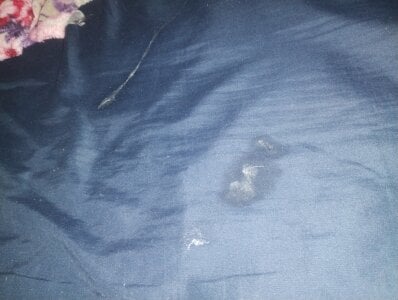 Satanatrix Public 사진 7