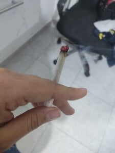 Alex_Fortuneune Muuu Pic 3