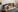 Amanda_Goodwin_ Im horny for you Pic
