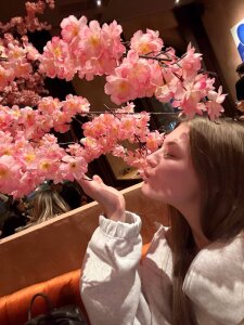 melsoft: Public ( 3 фото)