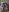 Emilly_HartのSanta Claus's Preyの 3枚の写真