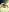 mskitty3313 Naughty naughty XXX-Foto 5