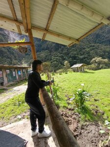 UlisesTrenh nature Pic 5