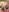 Your_dirty_dream Feet Fetisch new Foto  4