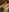 Tara_Lawson caress me in the bathroom 💦 Pic 9