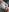 Imprezza_Rose I'm teasing a little Pic 3