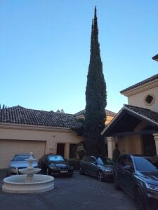 jerocock77 Public Kuva 4