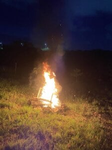 vanilla_Kush Mírame Gambar