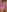 NancyXSkyblueX love me Pic 3