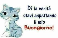 Diavoletta1998 Public Photo