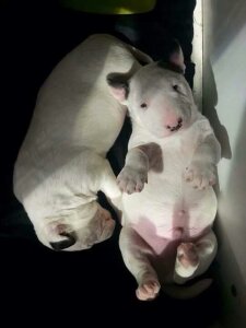 Isabella_Liz_ Public Pic 2