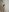hot_momtobe Pregnant + naked Foto  4
