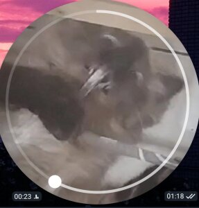 CandoCmaGic My kitty - Chupik:3 Pic 5