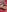 Diosa_AlexandraaSexy parts of my body.照片