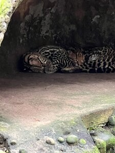 Public od Miguelsanmatin  snímek